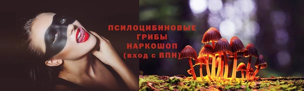 PSILOCYBIN Костерёво