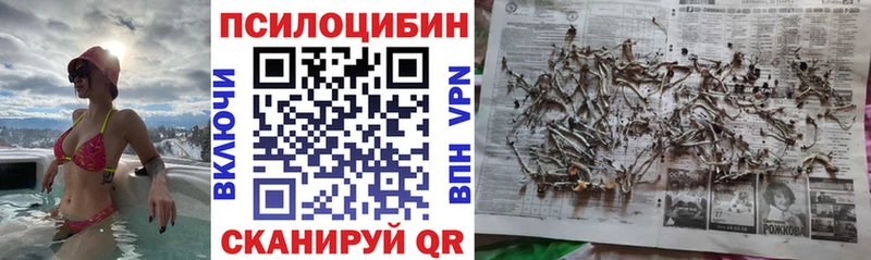 Псилоцибиновые грибы Cubensis  Купить закладки  Алушта 